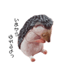 生き物迷言スタンプ（個別スタンプ：7）