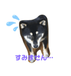 ももはく（個別スタンプ：3）