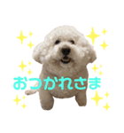 ぶるぶるぶーる(ときどき けっちゃん)（個別スタンプ：2）