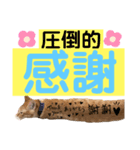 ぶるぶるぶーる(ときどき けっちゃん)（個別スタンプ：8）