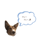 シャルルのメッセージ5（個別スタンプ：5）