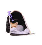 オムツをはいたチワワのスタンプ（個別スタンプ：31）