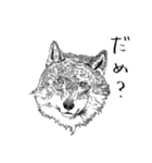 WOLF！WOLF！！WOLF！！！（個別スタンプ：15）