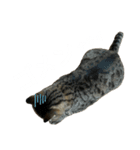 バロンくんの日常（個別スタンプ：4）
