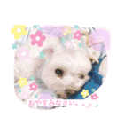 ひでやんちゃ（個別スタンプ：3）