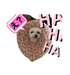 ひでやんちゃ（個別スタンプ：4）