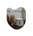 ひでやんちゃ（個別スタンプ：9）
