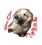 ひでやんちゃ（個別スタンプ：12）