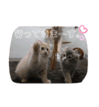 ひでやんちゃ（個別スタンプ：39）