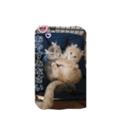 ひでやんちゃ（個別スタンプ：40）
