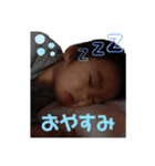 としくん スタンプ（個別スタンプ：5）