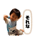 としくん スタンプ（個別スタンプ：7）