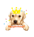 家犬wonderful（個別スタンプ：1）