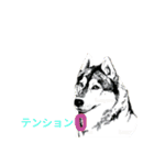家犬wonderful（個別スタンプ：3）