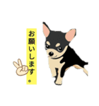家犬wonderful（個別スタンプ：8）