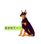 家犬wonderful（個別スタンプ：10）