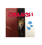 るなのスタンプ日本語vol1（個別スタンプ：1）