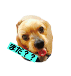 愛しいじゅんちゃん（個別スタンプ：8）