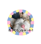 くめおスタンプププ（個別スタンプ：34）
