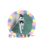 くめおスタンプププ（個別スタンプ：38）