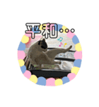 くめおスタンプププ（個別スタンプ：39）