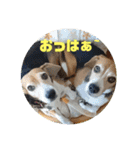 りくるなスタンプ（個別スタンプ：3）