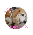 りくるなスタンプ（個別スタンプ：7）