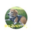 りくるなスタンプ（個別スタンプ：8）
