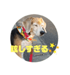 りくるなスタンプ（個別スタンプ：9）