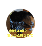 りくるなスタンプ（個別スタンプ：12）