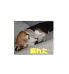 りくるなスタンプ（個別スタンプ：13）