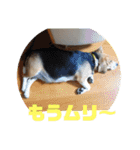 りくるなスタンプ（個別スタンプ：16）