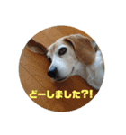 りくるなスタンプ（個別スタンプ：17）