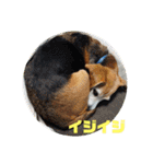 りくるなスタンプ（個別スタンプ：18）