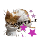 らんらんの毎日スタンプ♪（個別スタンプ：5）