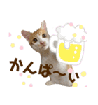 らんらんの毎日スタンプ♪（個別スタンプ：9）