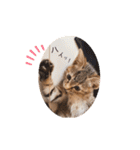 にゃんさまのきもち。（個別スタンプ：9）