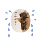 にゃんさまのきもち。（個別スタンプ：10）