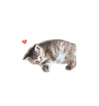 にゃんさまのきもち。（個別スタンプ：12）
