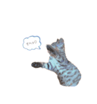 にゃんさまのきもち。（個別スタンプ：20）