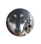 お豆   変顔自信あります。（個別スタンプ：5）