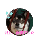 お豆   変顔自信あります。（個別スタンプ：8）