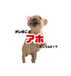 華さんのスタンプ（個別スタンプ：1）
