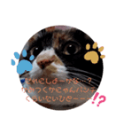 うーたん   たん(こわっっ。。。)（個別スタンプ：4）