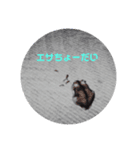 かじゅスタンプップ（個別スタンプ：8）