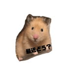 ハムスターのちくわくんスタンプ（個別スタンプ：2）