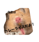 ハムスターのちくわくんスタンプ（個別スタンプ：4）