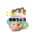 ハムスターのちくわくんスタンプ（個別スタンプ：8）
