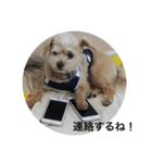 ちゃーとるーの物語（個別スタンプ：5）