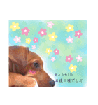 ころっけのスタンプ（個別スタンプ：15）
